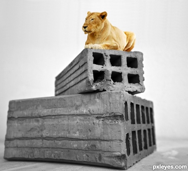 Creation of bricks & animal: Step 4
