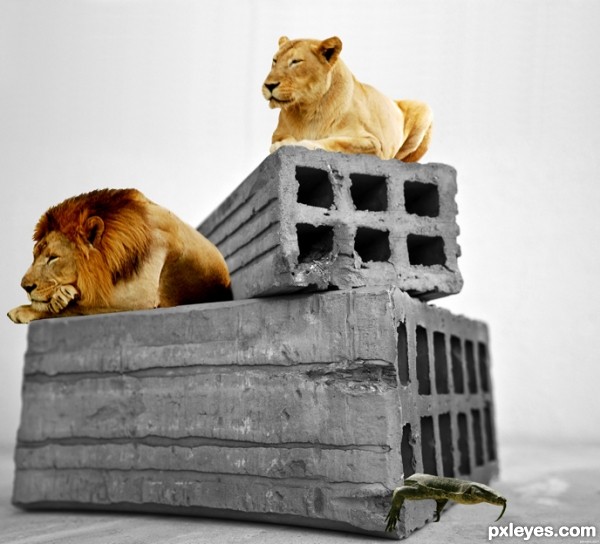 Creation of bricks & animal: Step 6