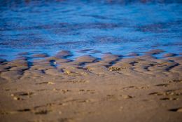 Blue waves on a brown beach