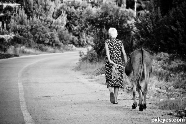 Her and the donkey