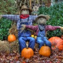 two scarecrows photoshop contest