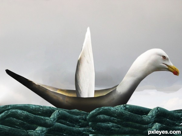 Creation of Seagull-boat: Final Result