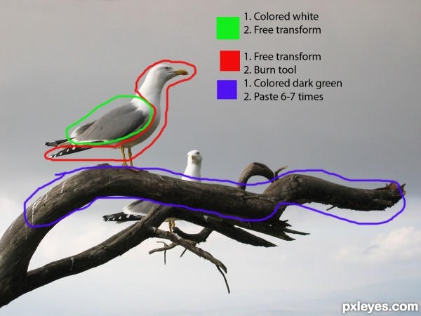 Creation of Seagull-boat: Step 1