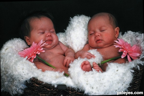 sisters in a basket