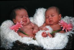 sisters in a basket Picture