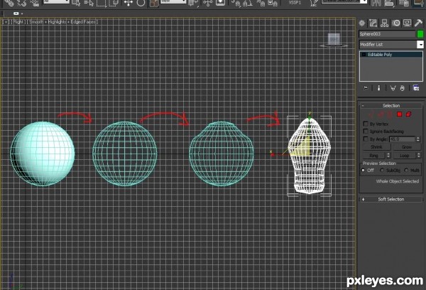 Creation of Fish: Step 5
