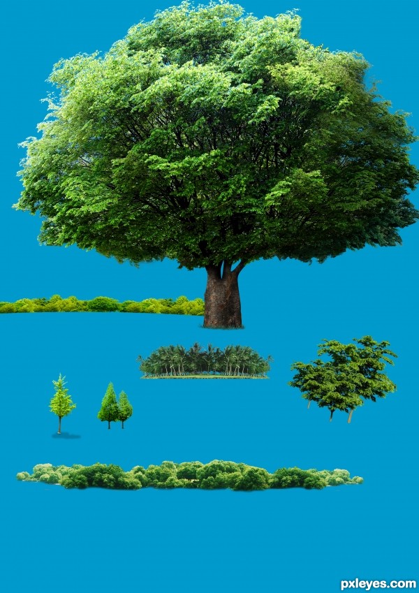 Creation of Green your Life: Step 1
