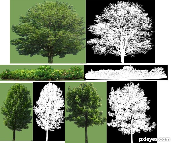 Creation of Green your Life: Step 10