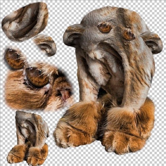 Creation of Sandy Sucks!: Step 1