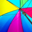 umbrella photography contest