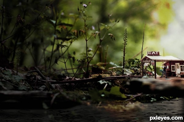 undergrowth resturant.