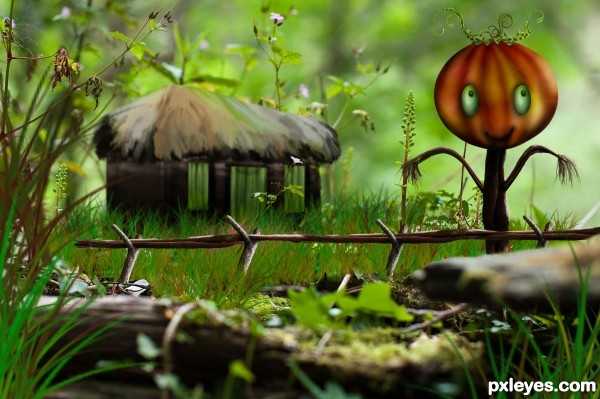 Pumpkin and its house