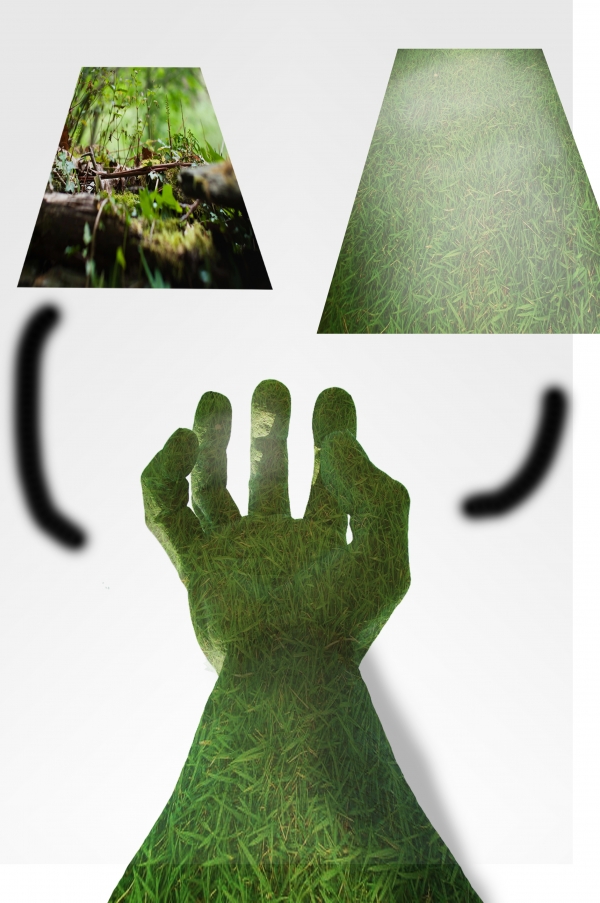 Creation of Struggle for the undergrowth: Step 3