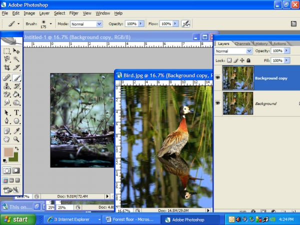Creation of Nesting time: Step 3
