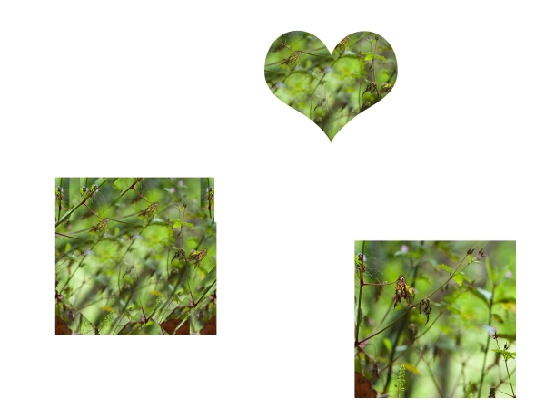 Creation of Love Flower: Step 1