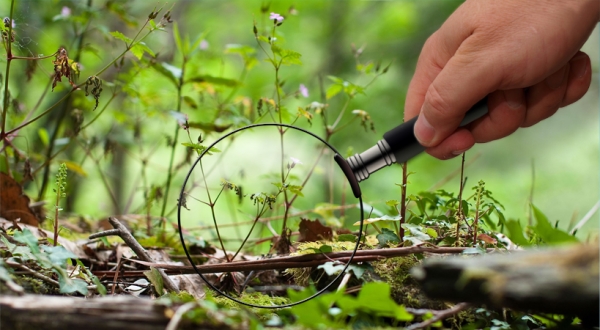 Creation of Liliputiens: Step 7