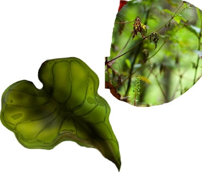 Creation of Spring Treasures: Step 6