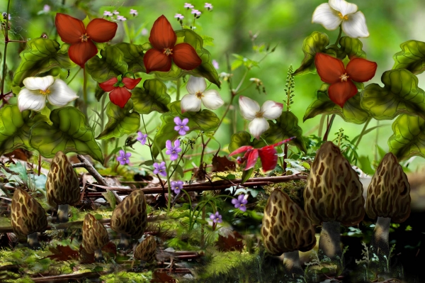 Creation of Spring Treasures: Step 12