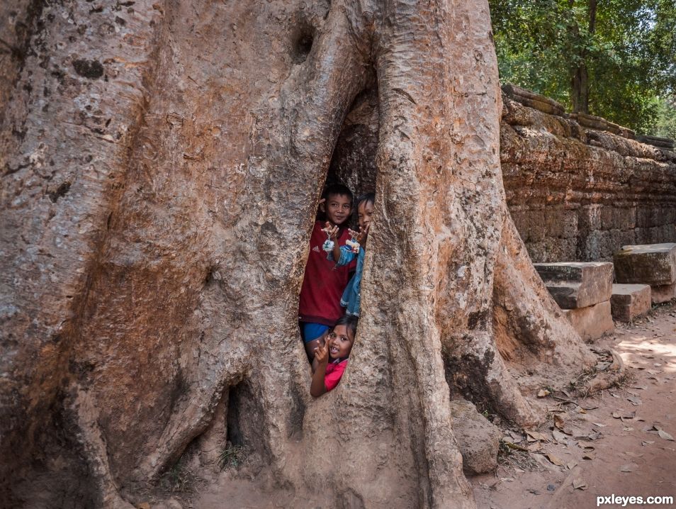 Three kids in a tree