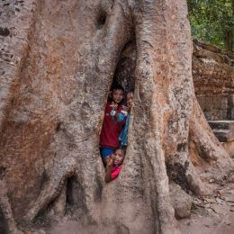 Threekidsinatree