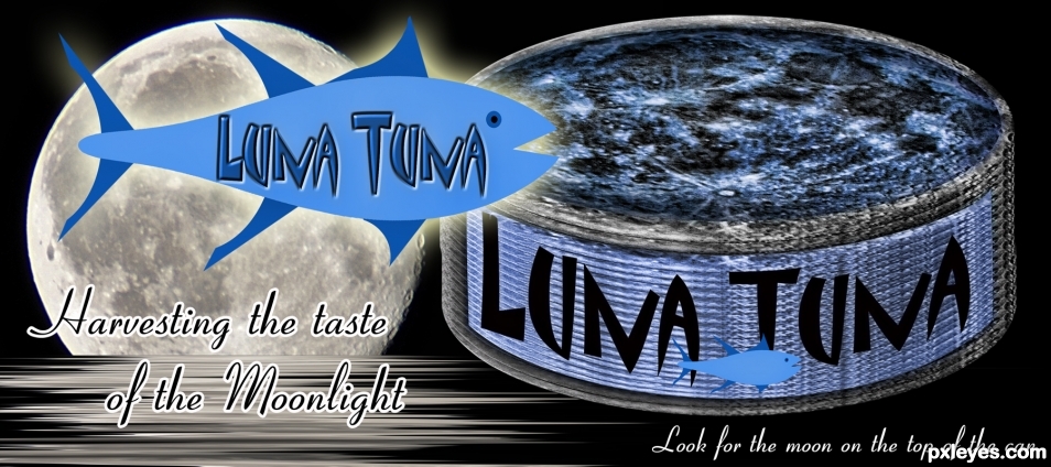 Creation of Moon Tuna: Final Result