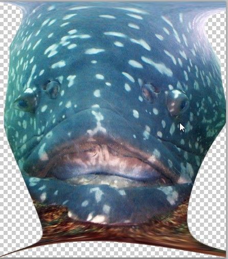 Creation of Oh Fishy Fishy Fishy Fish: Step 4