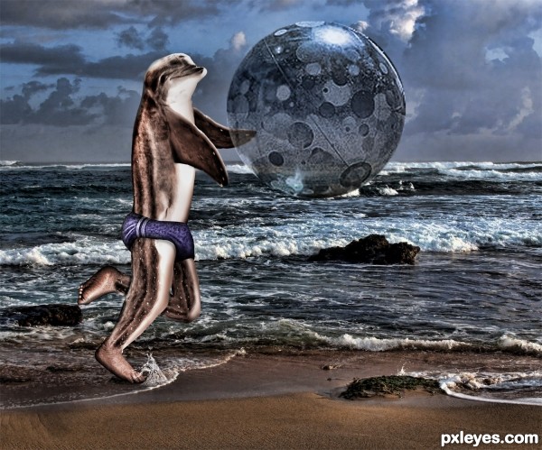 Dolphin Ball