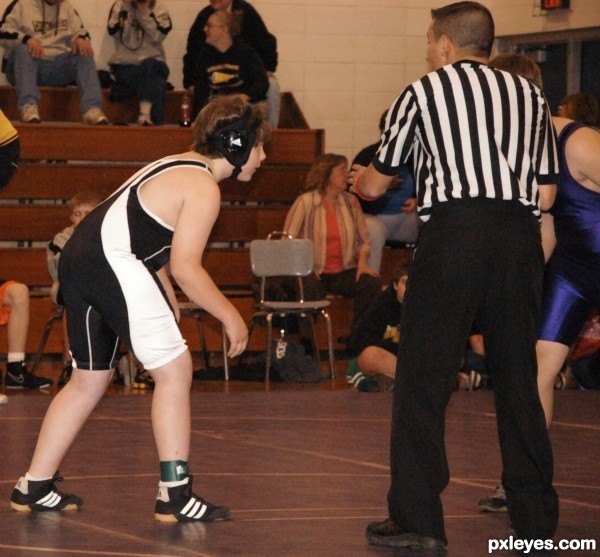 Wrestling Ref