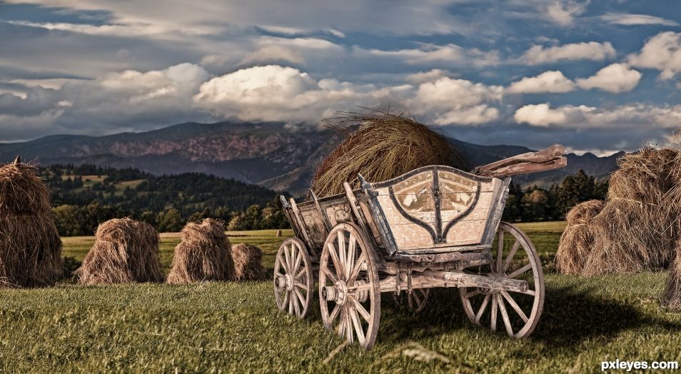 In the Hay Field of Poland