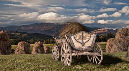 In the Hay Field of Poland