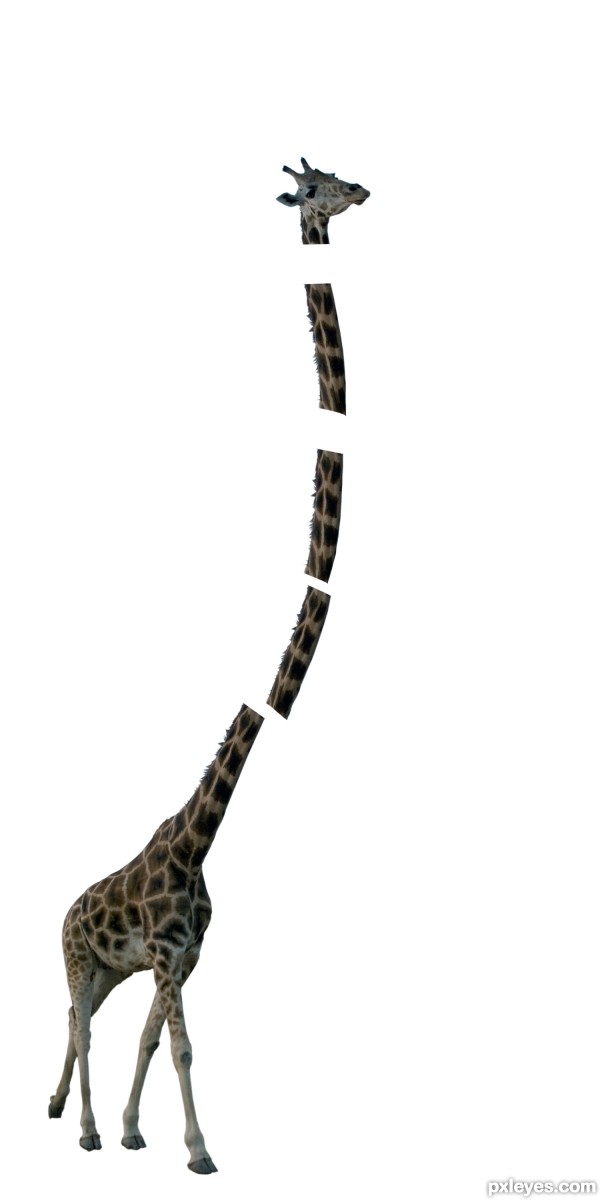 Creation of Evolution: Step 1