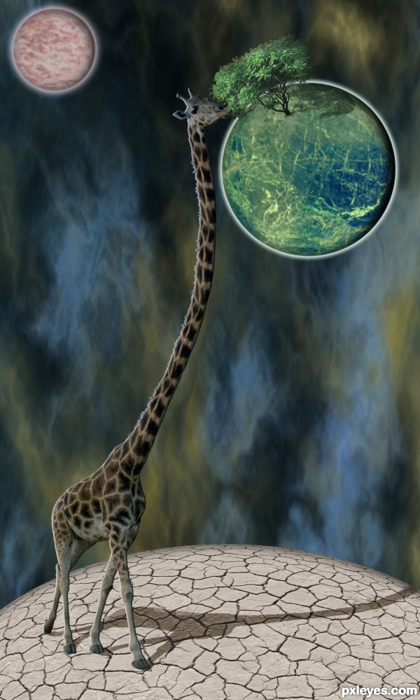 Creation of Evolution: Step 4