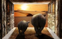 Passage To The Desert Picture
