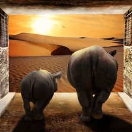 PassageToTheDesert