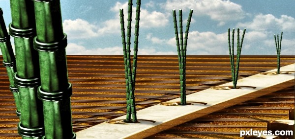 Bamboo Progression