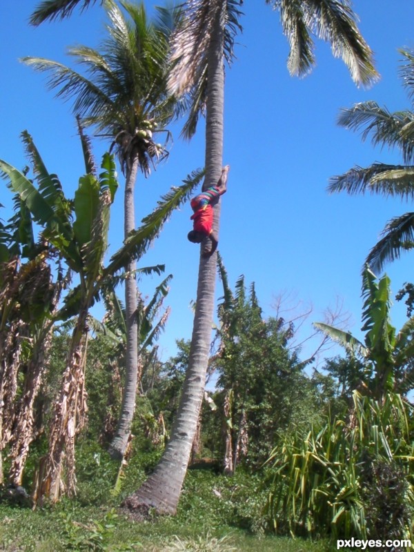 Climbing Down Upside Down