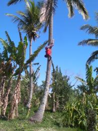 Climbing Down Upside Down