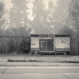 Vegetables & Fruits abandoned a long time ago. Picture