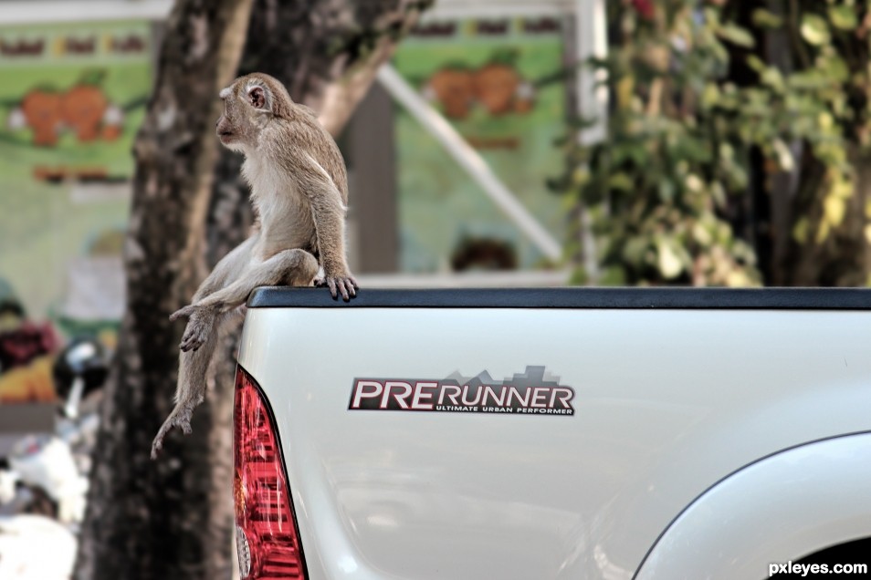 PRERUNNER