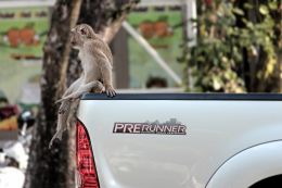 PRERUNNER