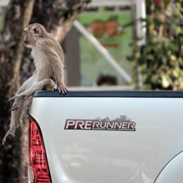 PRERUNNER