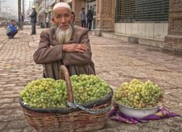 Vendor