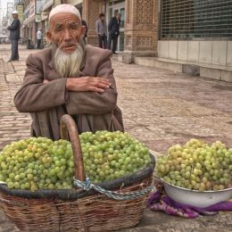 Vendor