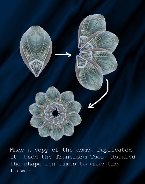 Creation of Flowers: Step 2