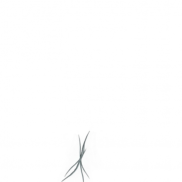 Creation of heart-flowered: Step 10