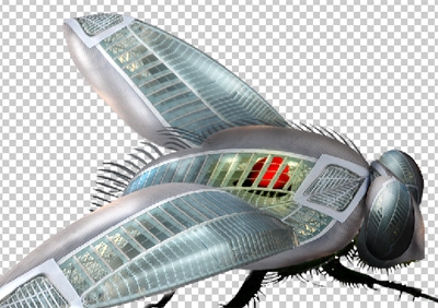 Creation of Heart of a fly: Step 6