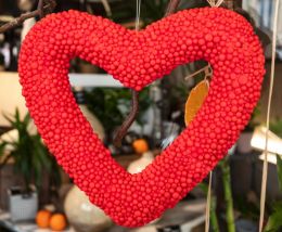 Strange heart disease