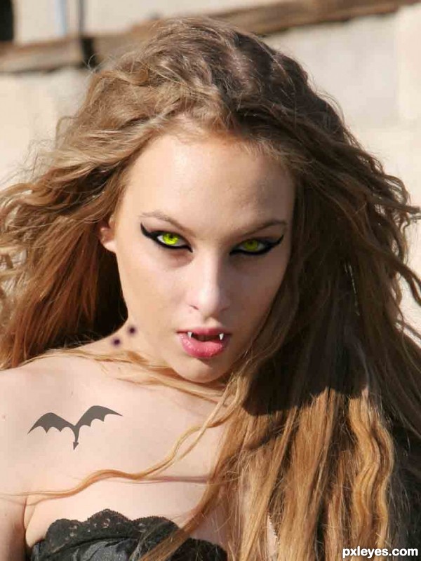 Creation of Vamp: Step 4