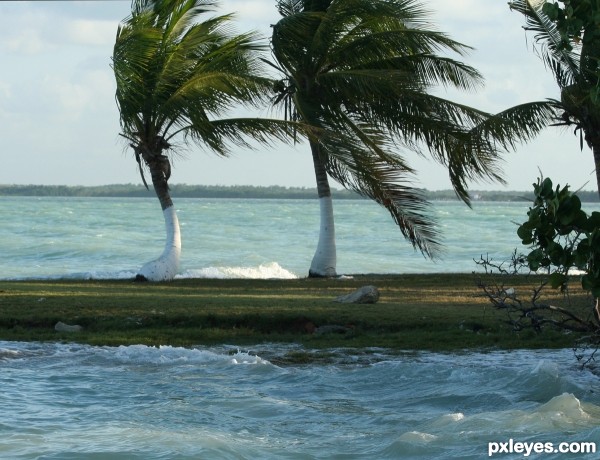Creation of Caribbean Scape: Step 5