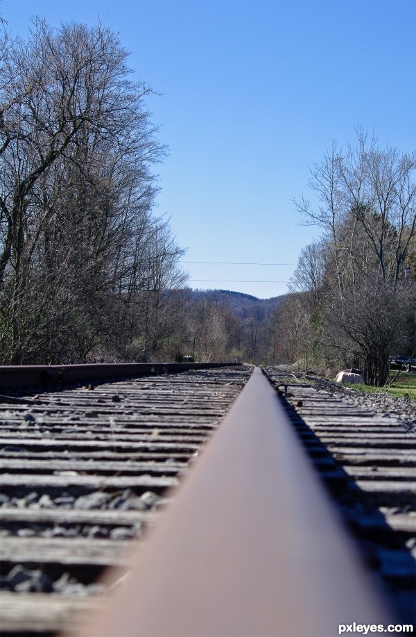 Ridin the Rails